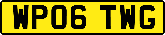 WP06TWG