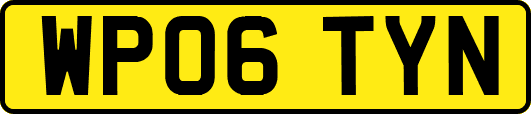 WP06TYN