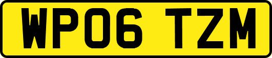 WP06TZM