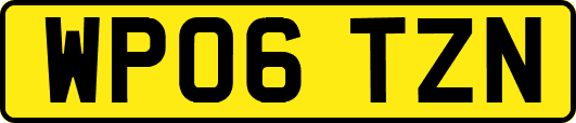 WP06TZN