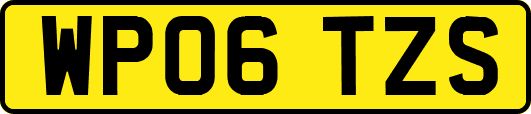 WP06TZS