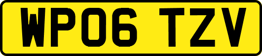 WP06TZV