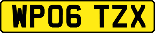 WP06TZX