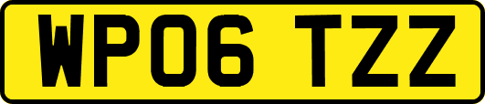 WP06TZZ