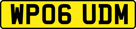 WP06UDM