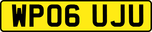 WP06UJU
