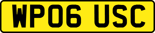 WP06USC
