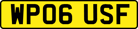 WP06USF