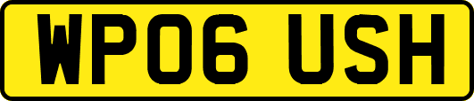WP06USH