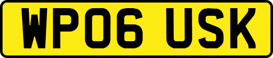WP06USK