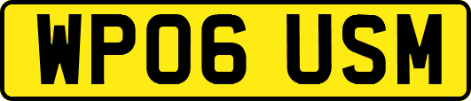 WP06USM