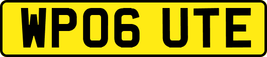 WP06UTE