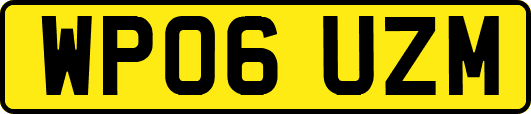 WP06UZM