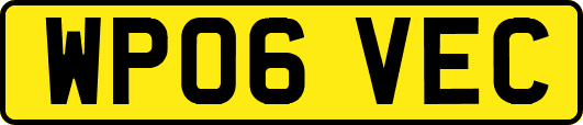 WP06VEC