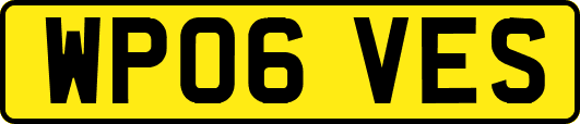 WP06VES