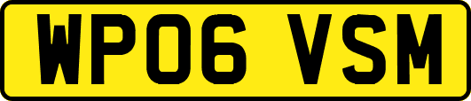 WP06VSM