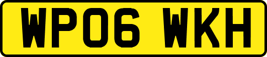 WP06WKH