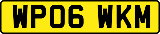 WP06WKM