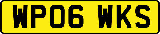 WP06WKS