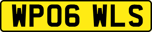 WP06WLS