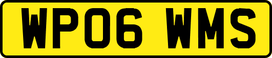WP06WMS