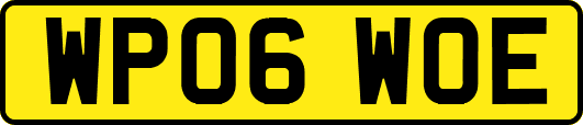 WP06WOE
