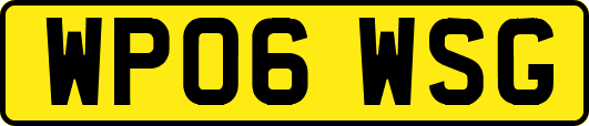 WP06WSG