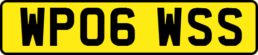 WP06WSS