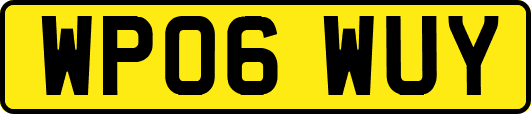 WP06WUY