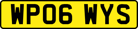 WP06WYS