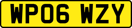 WP06WZY