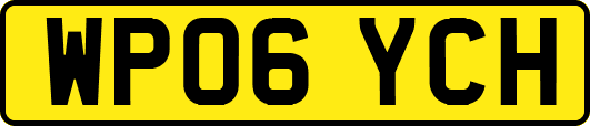 WP06YCH