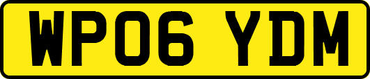 WP06YDM