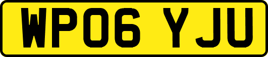 WP06YJU