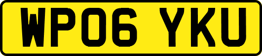 WP06YKU