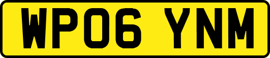 WP06YNM