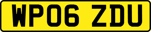 WP06ZDU