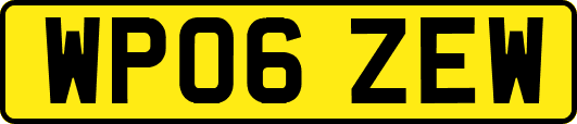 WP06ZEW