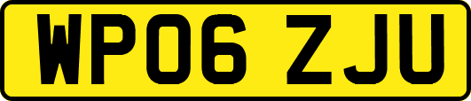 WP06ZJU