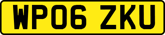 WP06ZKU