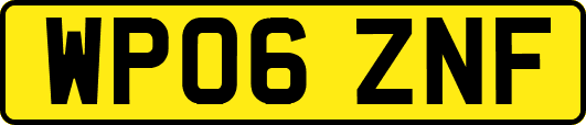 WP06ZNF