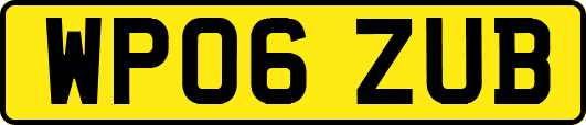WP06ZUB