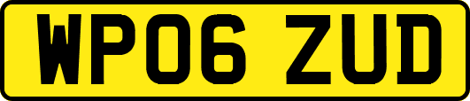 WP06ZUD