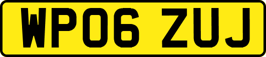 WP06ZUJ