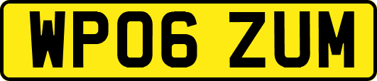 WP06ZUM
