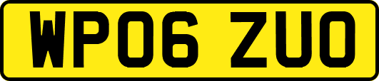 WP06ZUO