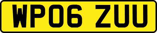 WP06ZUU
