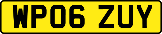 WP06ZUY