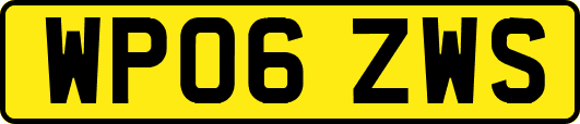 WP06ZWS