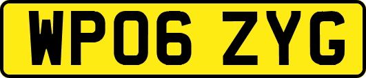 WP06ZYG